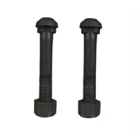 F235 Diamond Neck Track Bolt